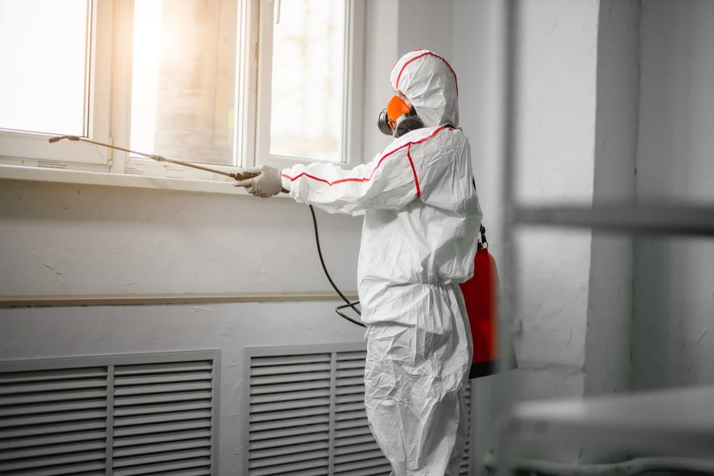 Professional mold remediation services in Spanish Fork, UT